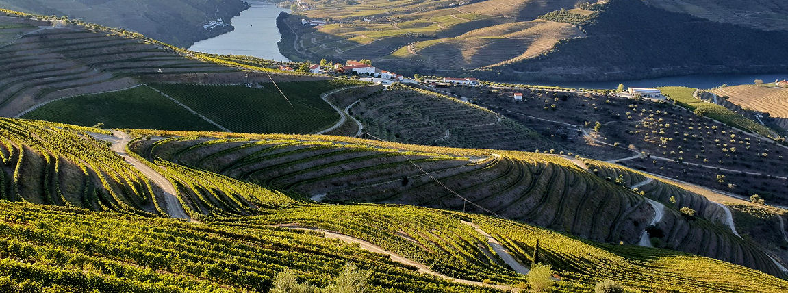 Douro-völgy